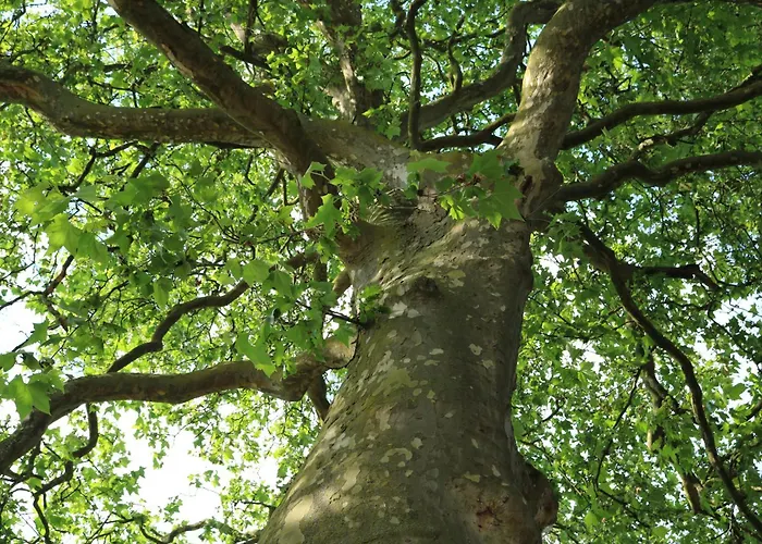 Charmantes Chateau Lichter - Burghaus Villa Liessem