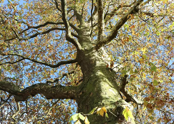 Villa Charmantes Chateau Lichter - Burghaus Liessem